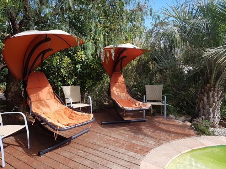 Les Palmiers Toulon Apartment Exterior photo