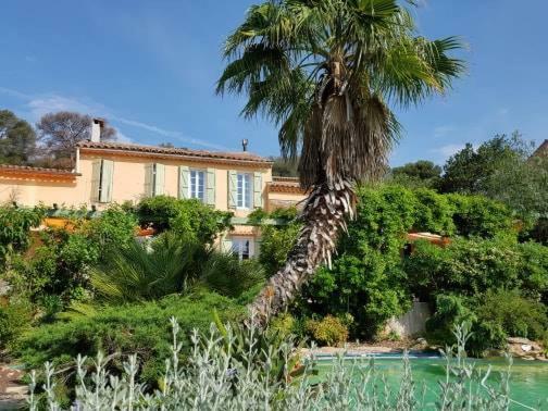 Les Palmiers Toulon Apartment Exterior photo